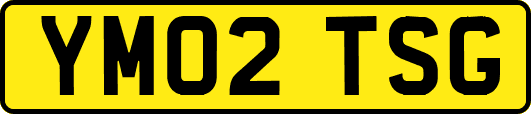 YM02TSG