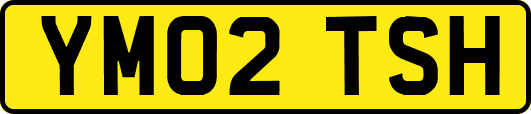 YM02TSH