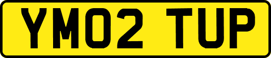 YM02TUP