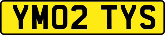 YM02TYS