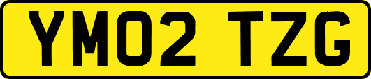 YM02TZG
