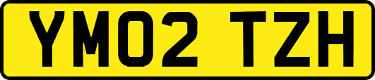 YM02TZH