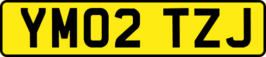 YM02TZJ