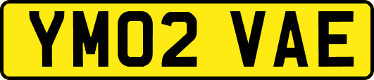 YM02VAE