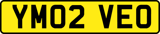 YM02VEO
