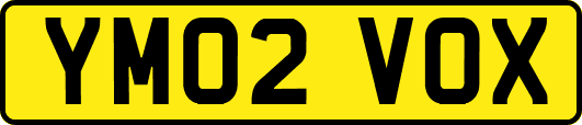 YM02VOX