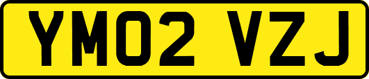 YM02VZJ