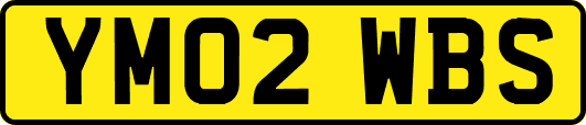 YM02WBS