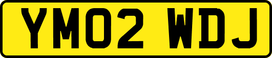 YM02WDJ