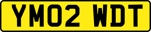 YM02WDT