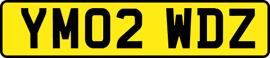 YM02WDZ