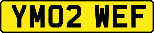 YM02WEF