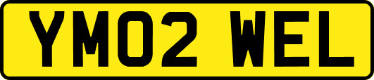 YM02WEL