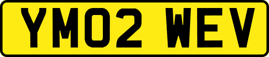 YM02WEV