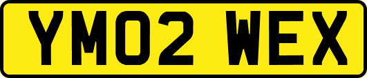 YM02WEX