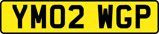 YM02WGP