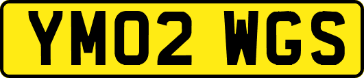YM02WGS