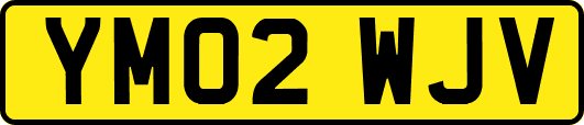 YM02WJV