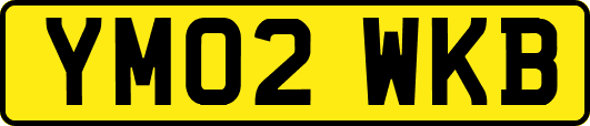 YM02WKB