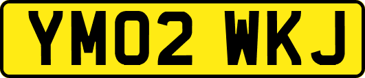 YM02WKJ