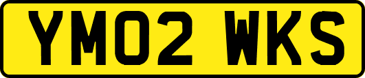 YM02WKS