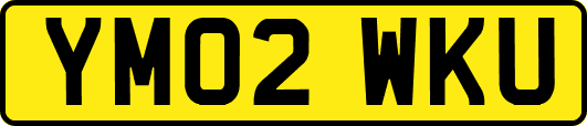 YM02WKU