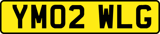 YM02WLG