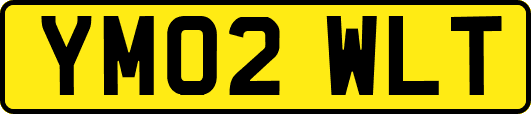 YM02WLT