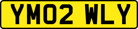YM02WLY
