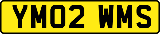 YM02WMS