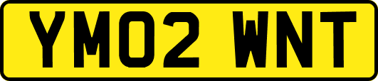 YM02WNT
