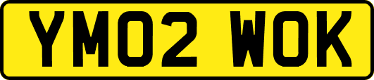 YM02WOK