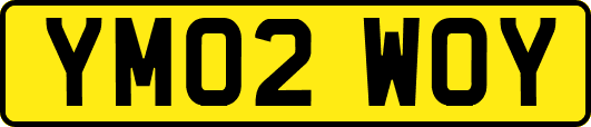 YM02WOY