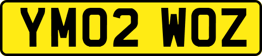 YM02WOZ