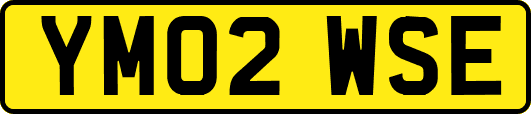 YM02WSE