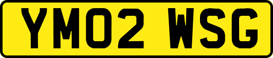 YM02WSG