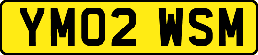 YM02WSM