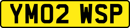 YM02WSP