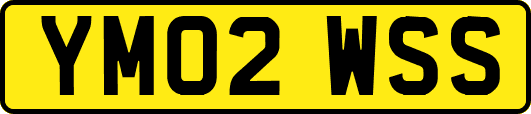 YM02WSS