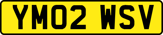 YM02WSV