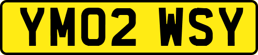 YM02WSY