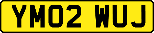 YM02WUJ