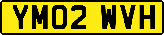 YM02WVH