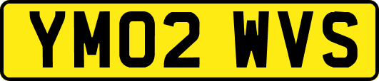 YM02WVS