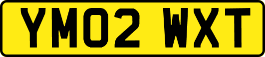 YM02WXT