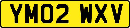 YM02WXV