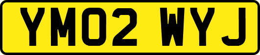 YM02WYJ