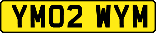 YM02WYM