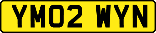 YM02WYN