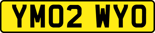 YM02WYO